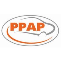 PPAP Automotive Limited1